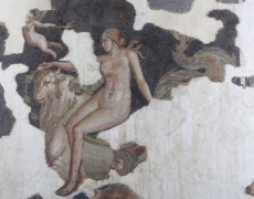 Due meravigliosi mosaici romani risplendono ad Aquileia